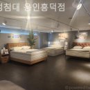 금성수지 | 수원가구단지 금성침대 용인흥덕점 이사 가구 장만기