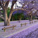 연수민박 이미지