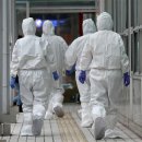 일본서 ‘치사율 30%’ 전염병 급증… 괴사 하다 갑자기 사망 이미지