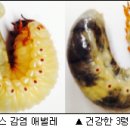 다온농장2 이미지