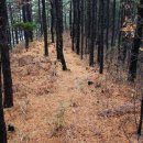 국사봉식당 이미지