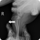 잠실종합동물병원 이미지
