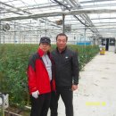 호산농원 이미지