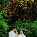 사랑비 | 연희동 사랑비스튜디오 만삭촬영 후기｜산후조리원 연계 촬영