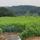 장탄1리 마을회관 이미지