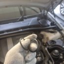 오거리카 이미지