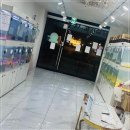 펫퍼스트 24시 강아지분양고양이분양 용인점 | 용인에서 만난 사랑스러운 반려동물, 펫퍼스트 24시 강아지분양 고양이분양 용인점 후기:)