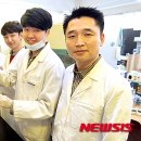 속암 이미지