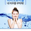 버블버블 애견샵 이미지