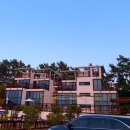 나로아라 이미지