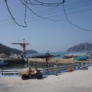 꽃섬투어 이미지