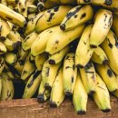 바나나에 풍부한 칼륨, 나트륨(부종월인) 배출 이미지