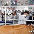 화순축산업협동조합