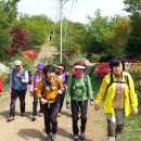 감정초교 이미지