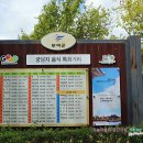 서동공원(궁남지 부근) 음식특화거리 이미지