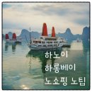 스피드플러스 롯데마트 노은점 | [동남아여행지추천] 하노이 하롱베이 패키지 3박5일 노쇼핑 노팁 일정