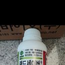 제이디피모터스 오라 이미지