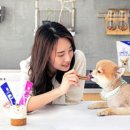 뷰티펫# 이미지