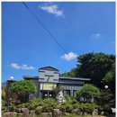 펫바라기 이미지