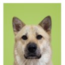 감정동 566 이미지