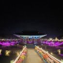 연못 속 풍경 | 부여 야경명소로 유명한 궁남지 | 가장 오래된 인공연못 궁남지의 아름다움에 반하다