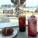 가락대로가락동 | 부산 강서구 대형카페 '카페보다' 애견동반 가능