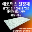 에코럭스