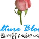 새빛북스