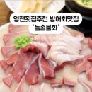 늘솜물회 이미지