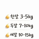 중온담
