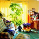 자연그린 이미지