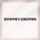 디테일 카 케어 네이버블로그