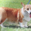 기태농장 이미지