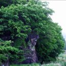 함안 용산리 함안층 새발자국화석 산지 이미지