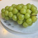 윤채농장 이미지