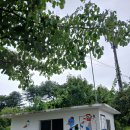 DMZ 평화의길 16코스-②［철원 DMZ두루미평화타운~금강산 전기철도 교량］ 이미지
