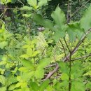 지성농장 이미지