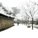 박선생