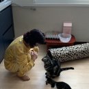 동이몽이 이미지