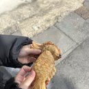 산방댁