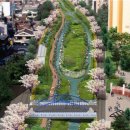 성북시장 3(성북시장 입구) 이미지