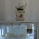 포포베이크샵 이미지