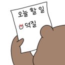 엑스디브이디