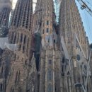 정다운 민박 이미지