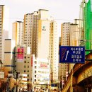 금곡대로 Daum카페