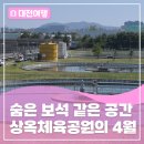 시민체육공원 다목적구장 | 도심 속의 숨은 보석 같은 공간인 ‘상옥체육공원’ 스케치