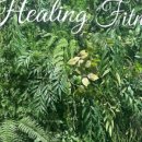 힐링사우나휘트니스 이미지