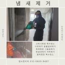 청소찐이야