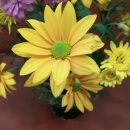 창대공인중개사사무소 이미지