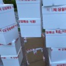 댕댕농부 이미지